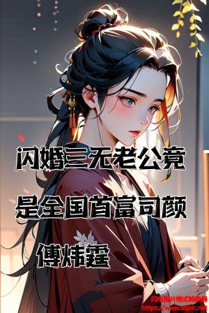 闪婚三无老公竟是全国首富司颜傅炜霆